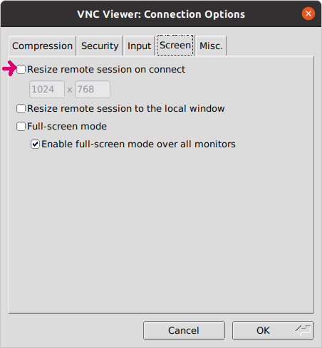 VNC viewer configuration of display size